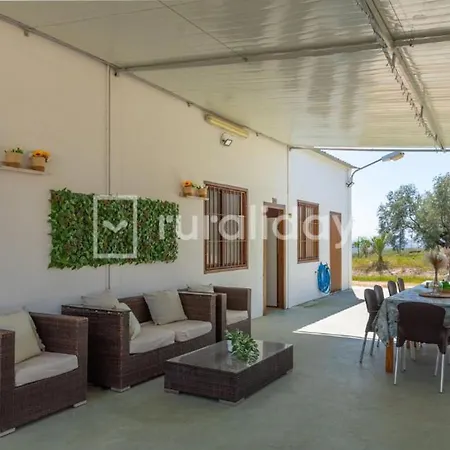 Dehesa Olive *